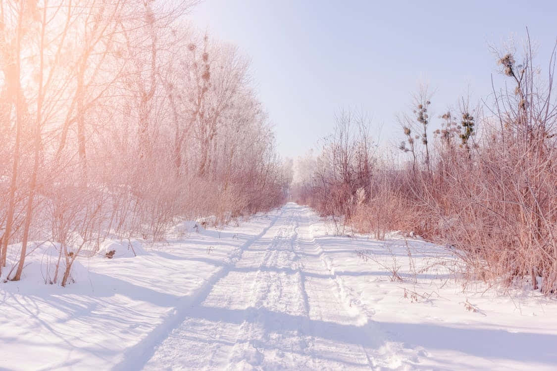 Pink Tinted Winter Landscape Wallpaper