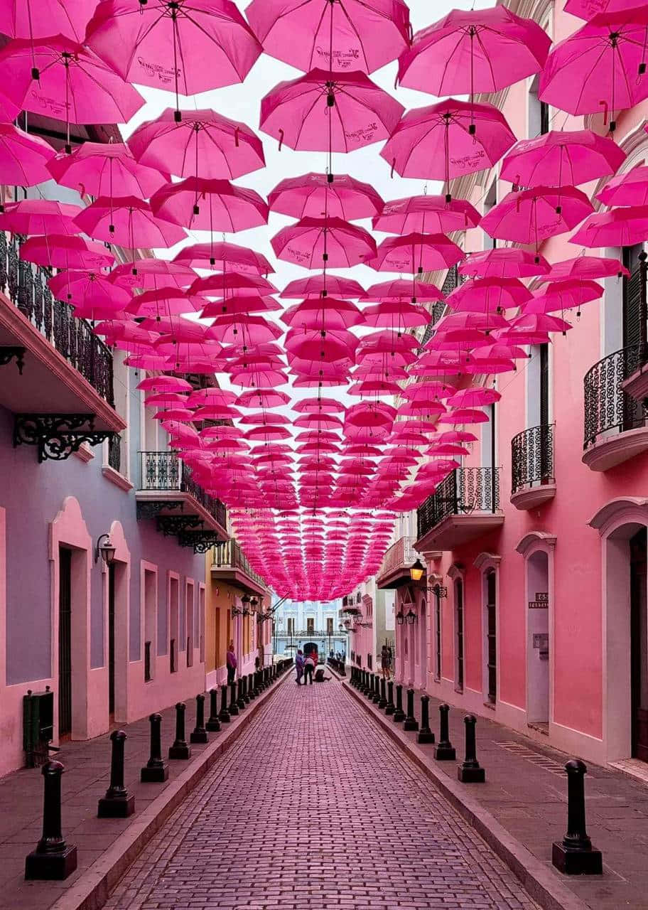 Pink Umbrella Canopy Puerto Rico Wallpaper