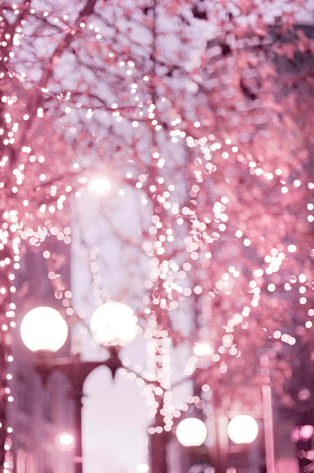 Pink Winter Lights Aesthetic.jpg Wallpaper