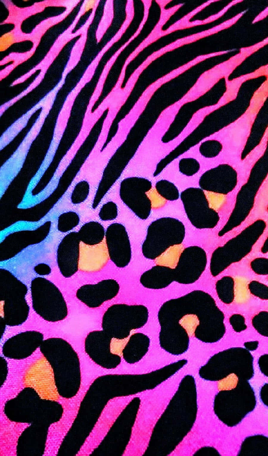 Pink Zebra Neon Colors Wallpaper