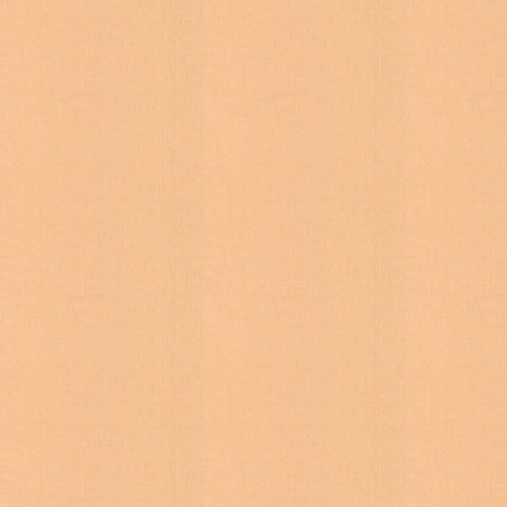 Plain, Bold, & Orange Wallpaper