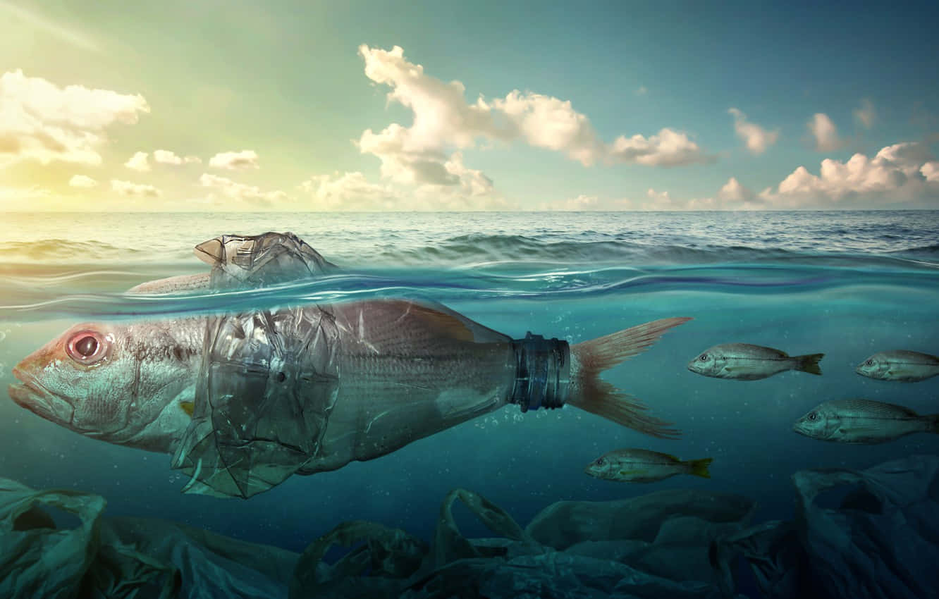 Plastic Pollution Wallpaper