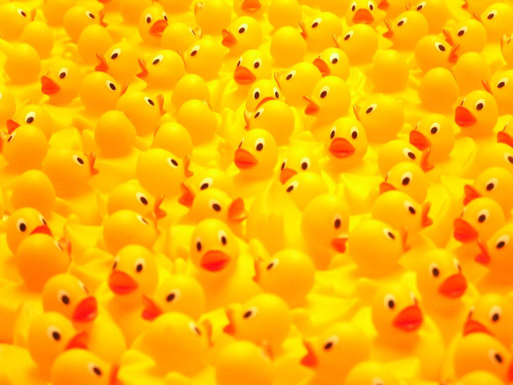 Plastic Rubber Ducks Wallpaper