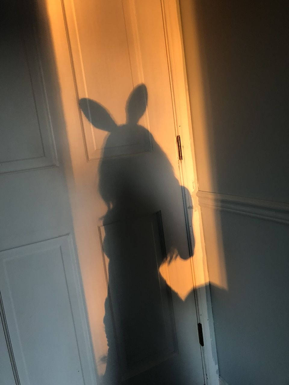 Playboy Aesthetic Shadow Costume Wallpaper