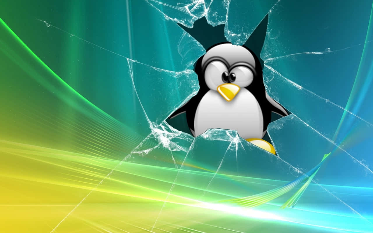 Playful Penguin Tux Wallpaper Wallpaper