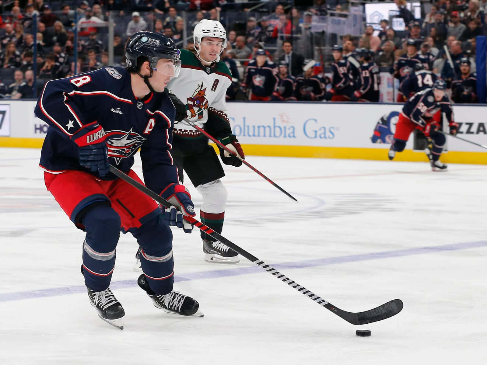 Playing With Blue Jackets Team Captain Zachary Werenski Wallpaper