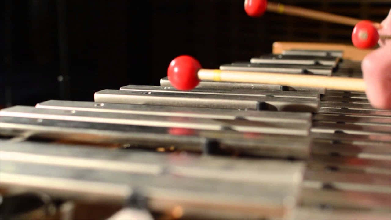 Playing_ Xylophone_ Closeup.jpg Wallpaper