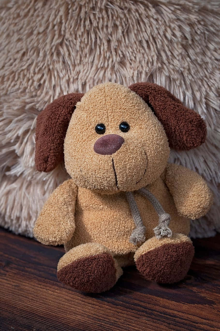 Plush Dog Toy Furry Background Wallpaper