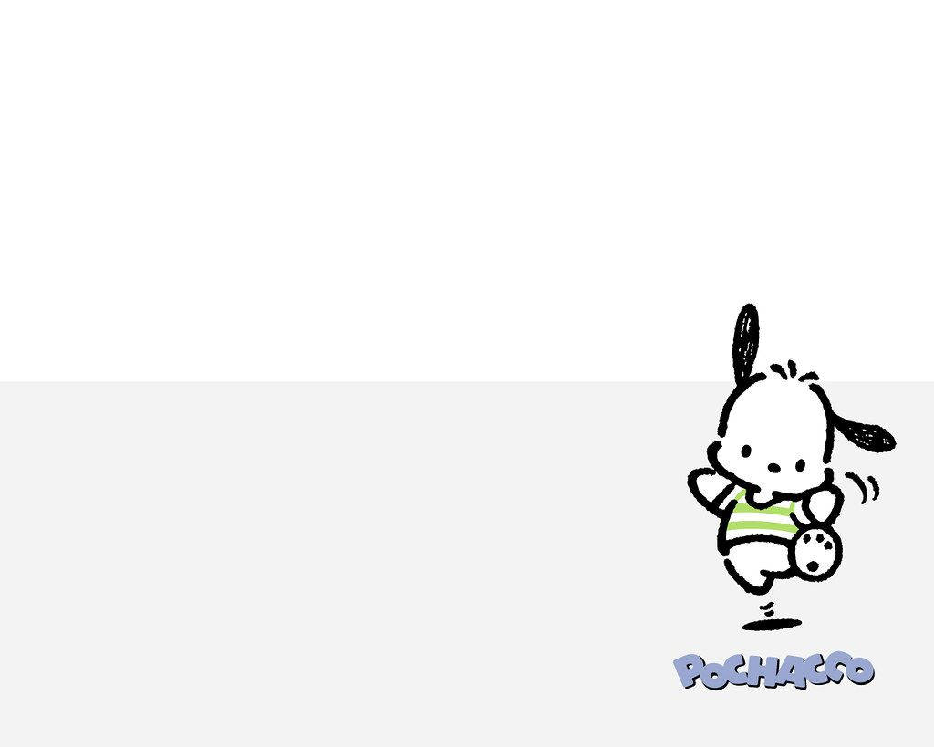 Pochacco Cute White Art Wallpaper