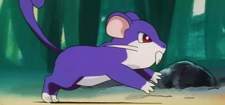 Pokemon Rattata Running In Green Background Wallpaper