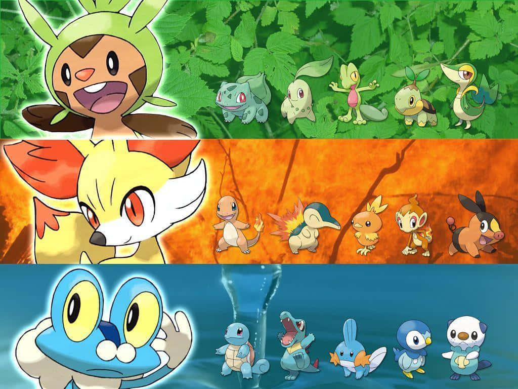 Pokemon Xy Yyyyyyyyyyyyyyyyyyyyyyyyyy Wallpaper