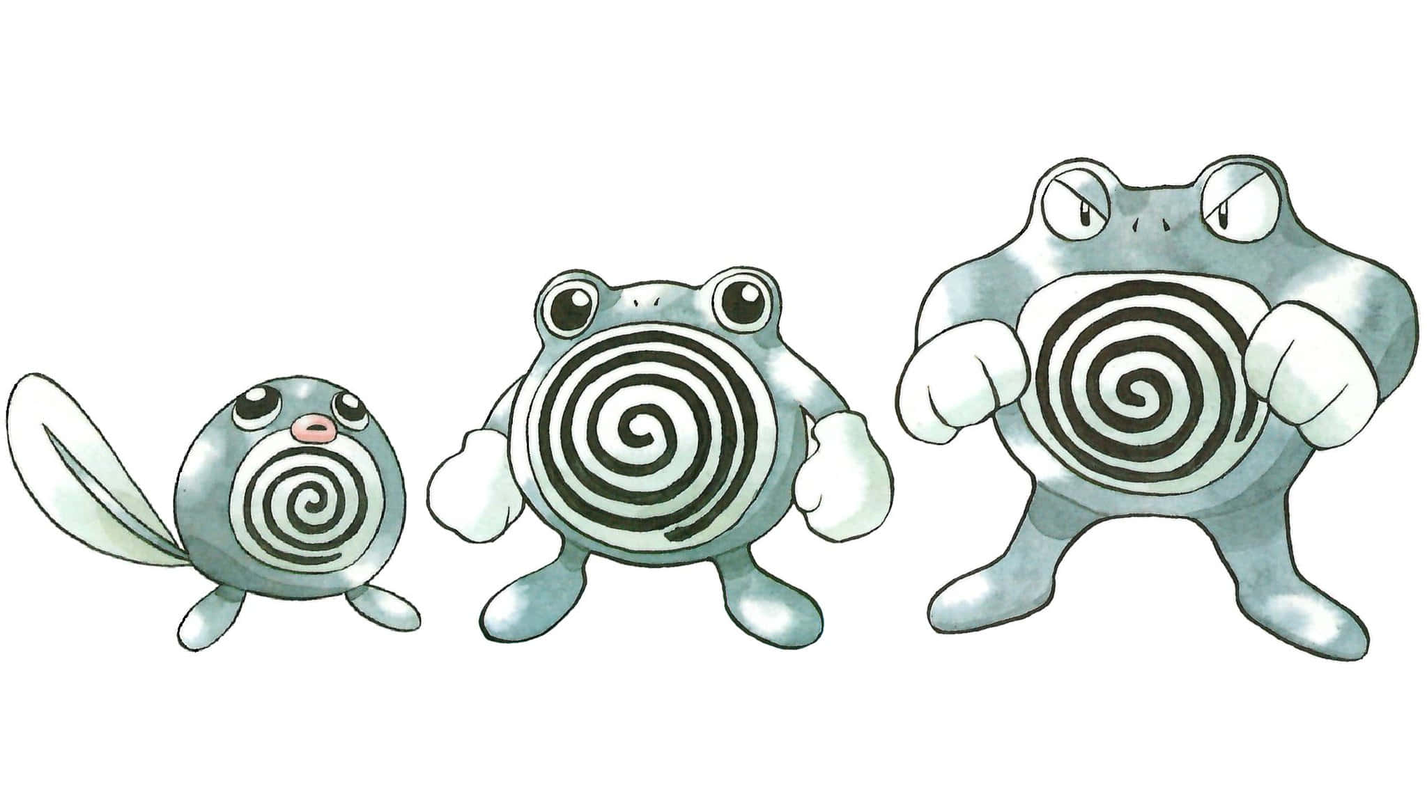 Poliwag Poliwhirl And Poliwrath Pokemon Wallpaper