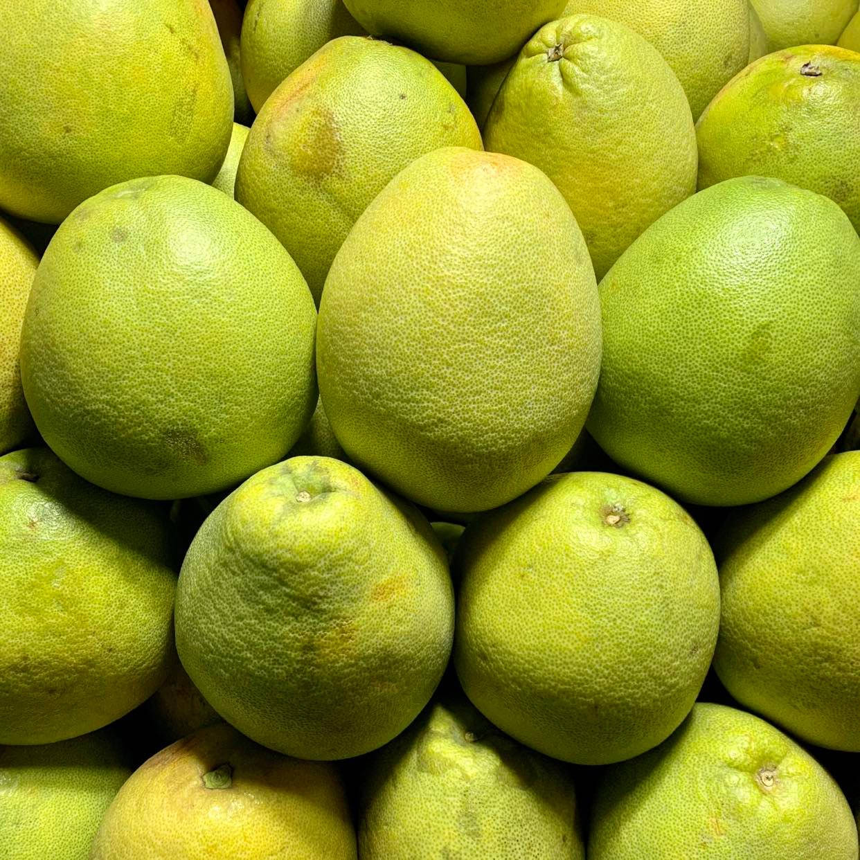 Pomelo Bright Display Wallpaper