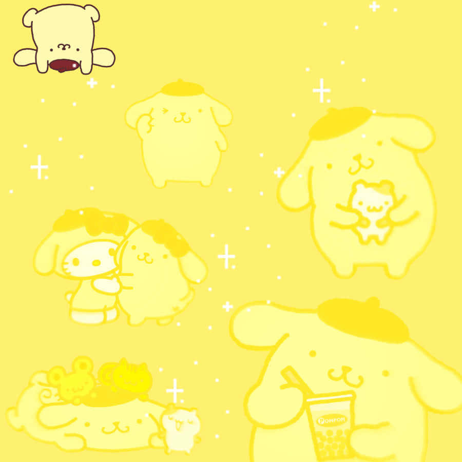 Pompompurin_and_ Friends_ Yellow_ Background Wallpaper