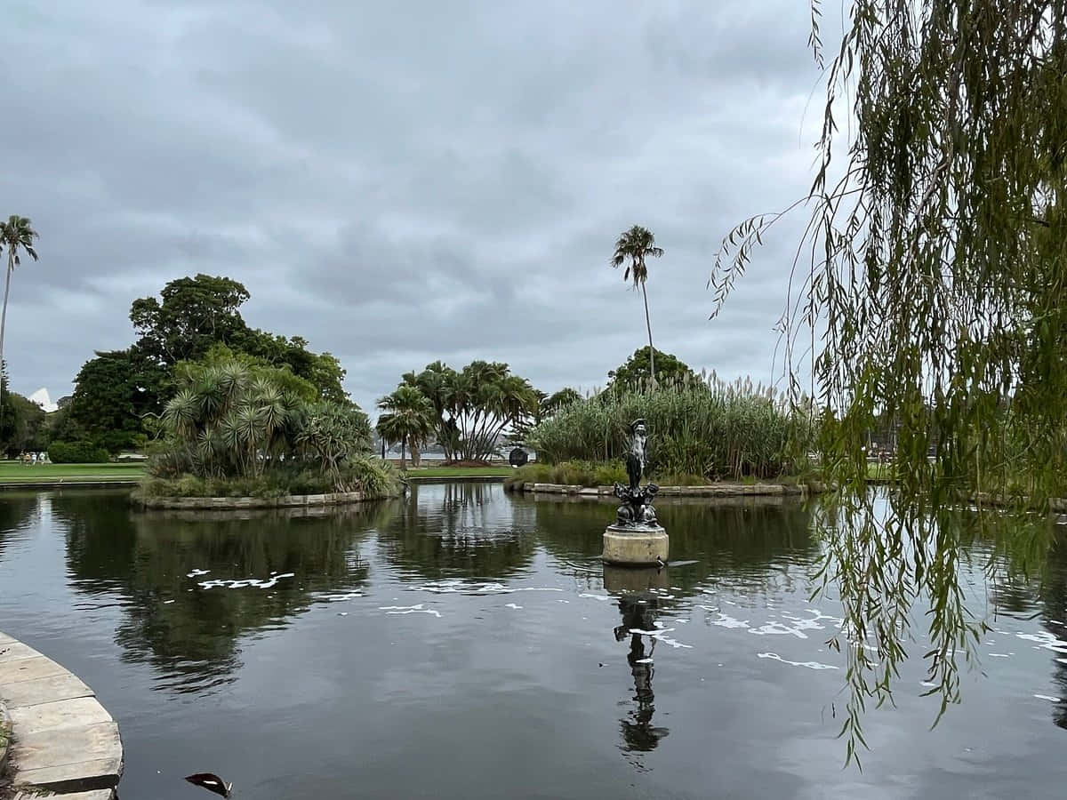 Pond Statue Royal Botanic Garden Sydney Wallpaper