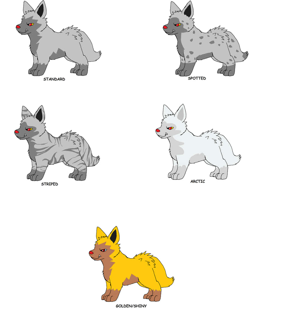 Poochyena_ Variants_ Illustration Wallpaper