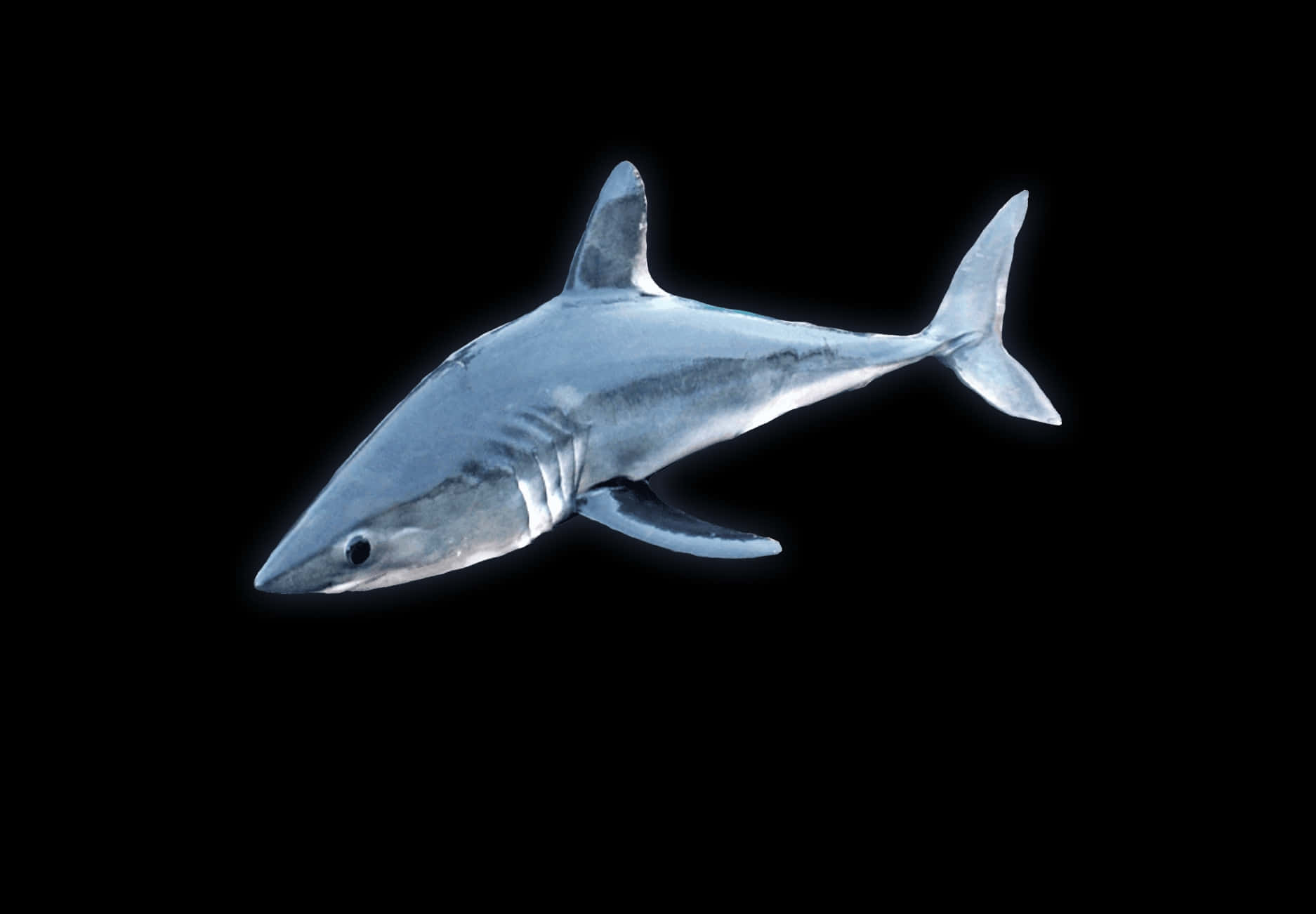 Porbeagle Sharkin Deep Blue Wallpaper