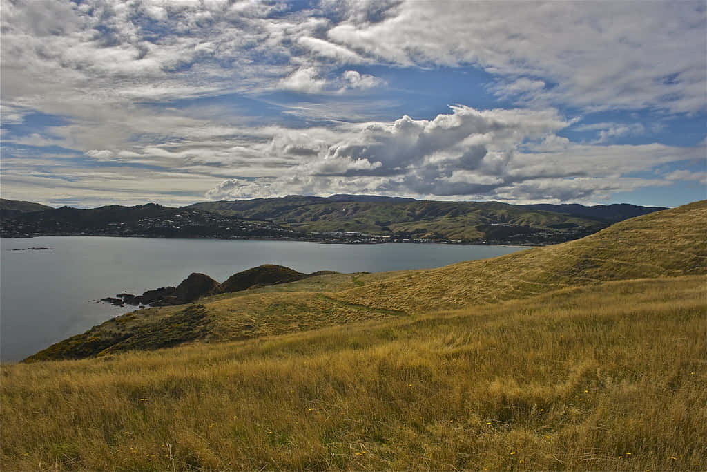 Porirua Coastal Landscape New Zealand Wallpaper