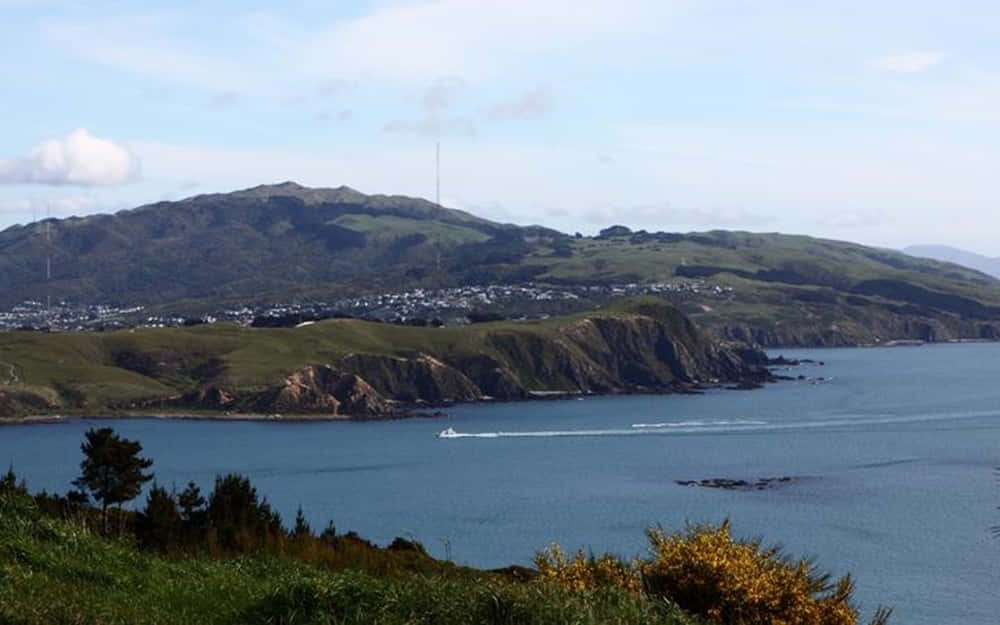 Porirua Coastline New Zealand Wallpaper