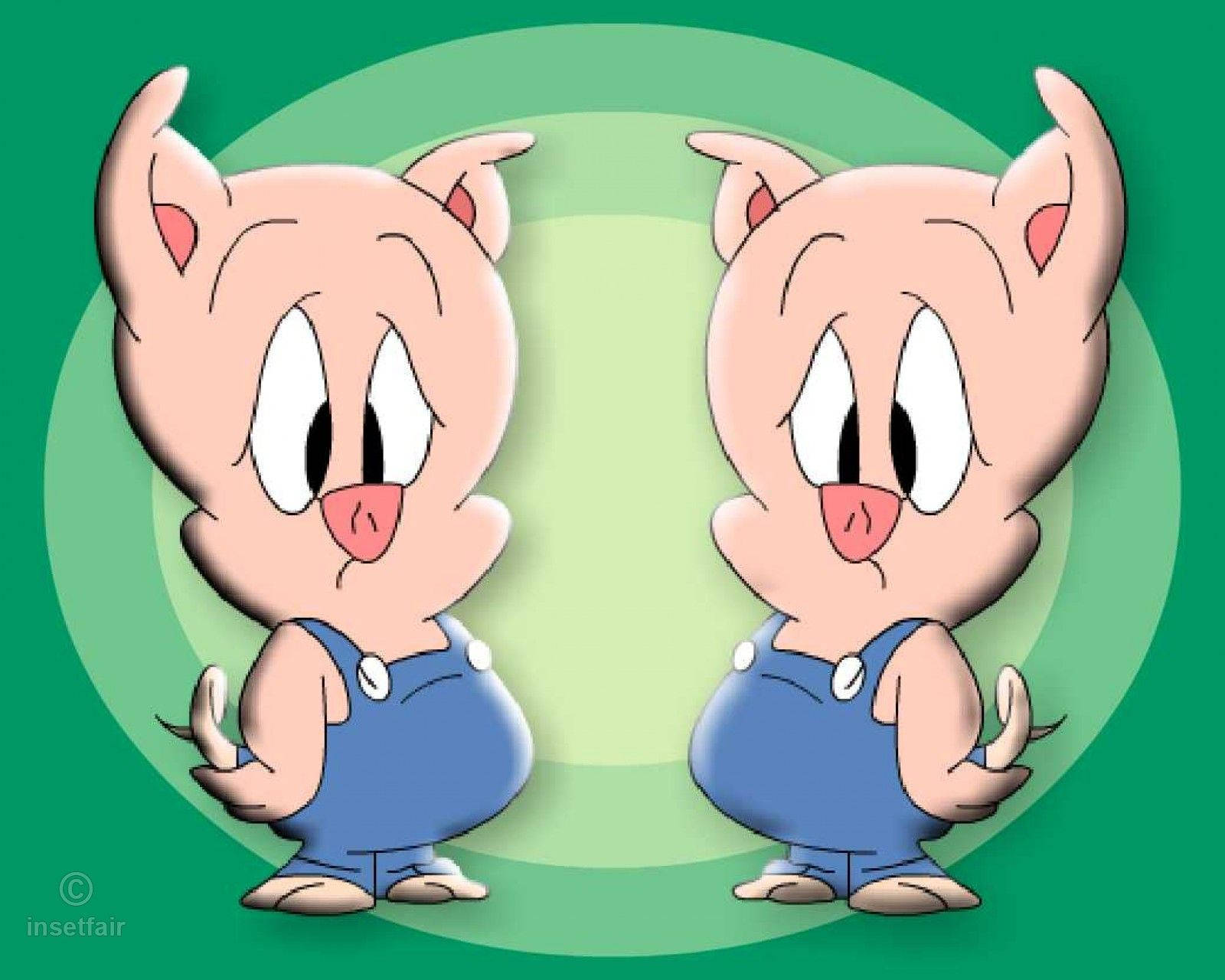 Porky Pig Fictional Character Wallpaper