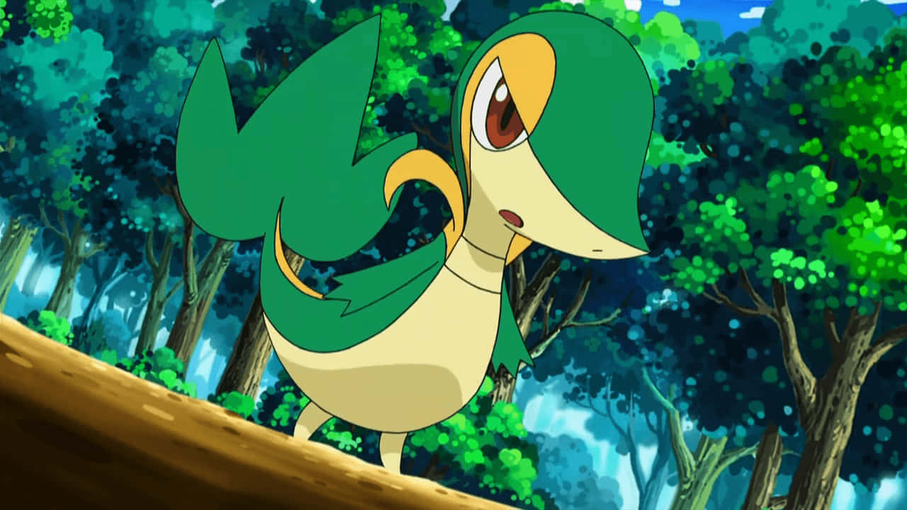 Pre-serperior Snivy Annoyed Wallpaper