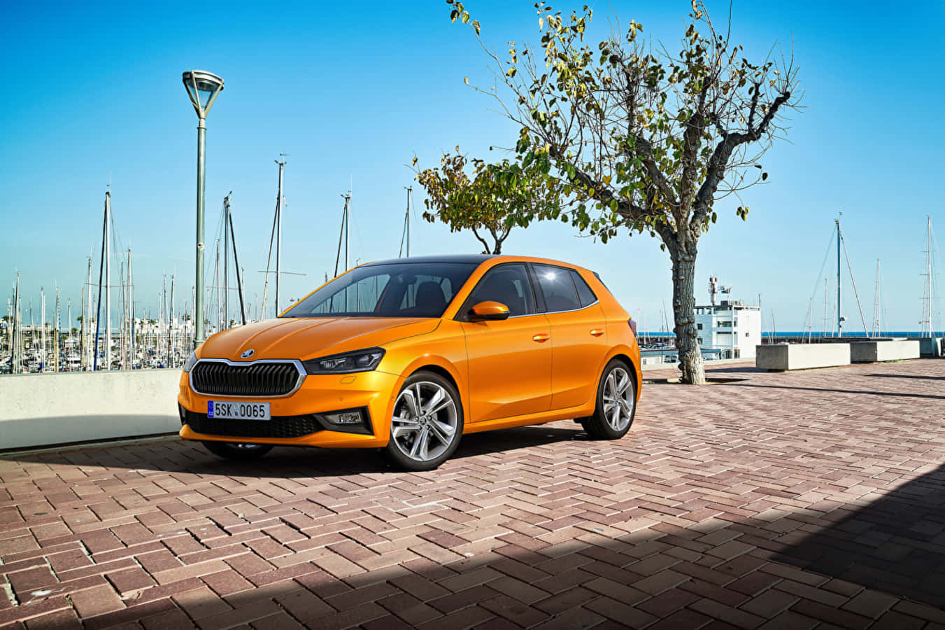 Premium Hatchback Skoda Fabia In Natural Surroundings Wallpaper