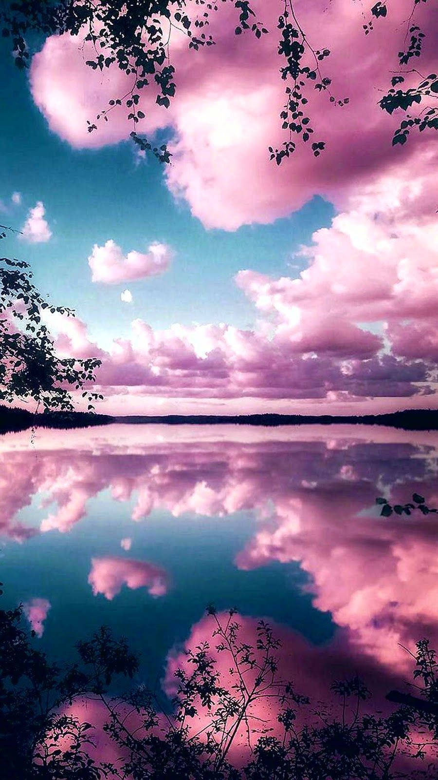 Pretty Background Phone Pink Clouds Lake Wallpaper