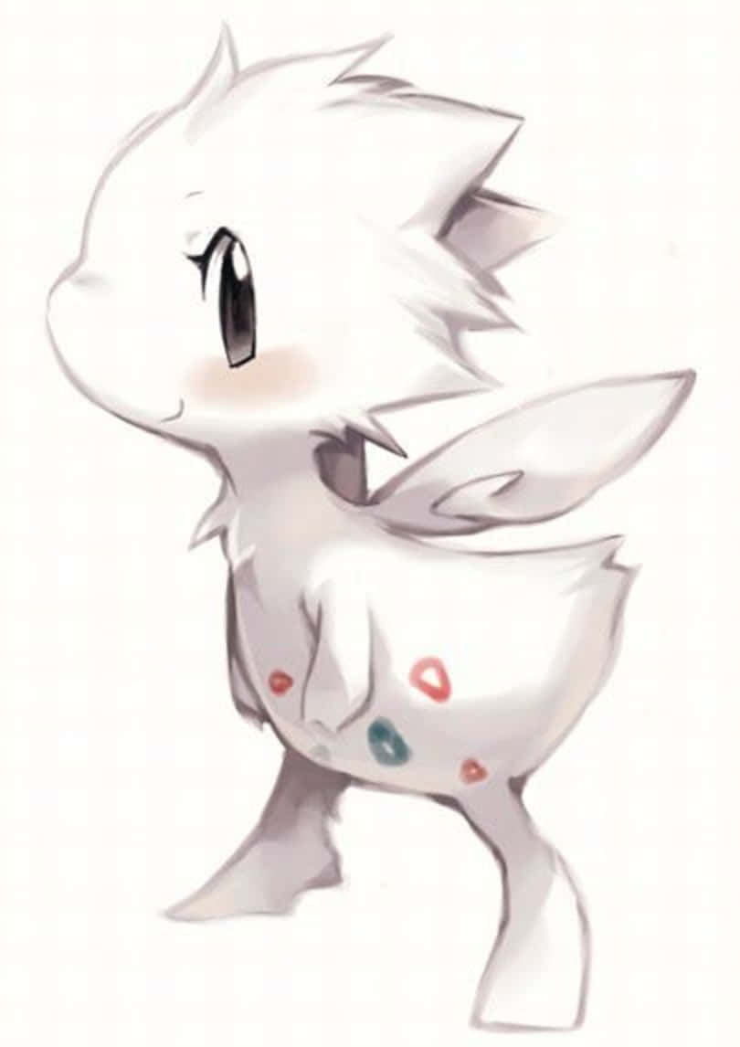 Pretty Togetic Wallpaper