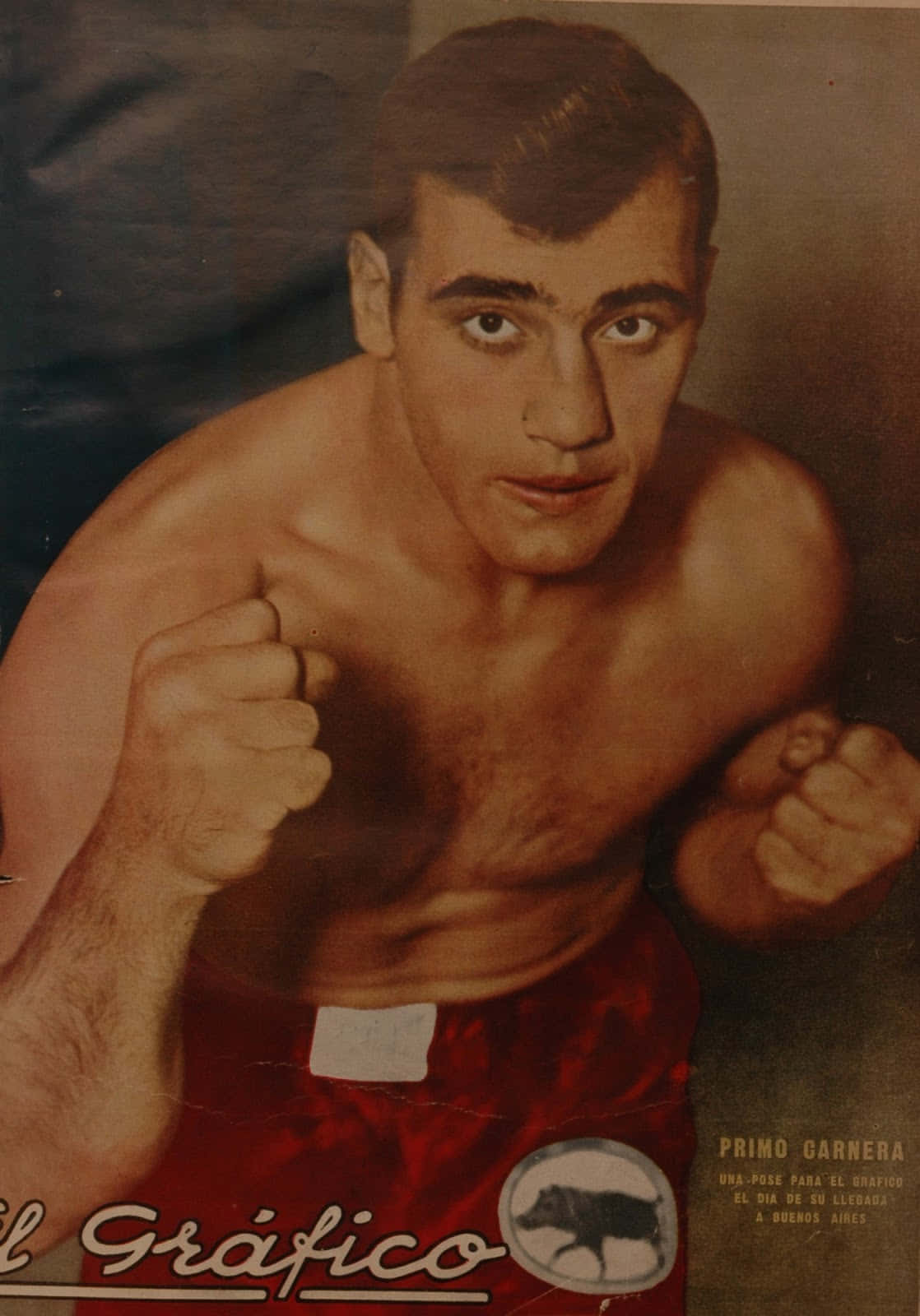 Primo Carnera, Celebrated Italian Boxer In Red Shorts Wallpaper