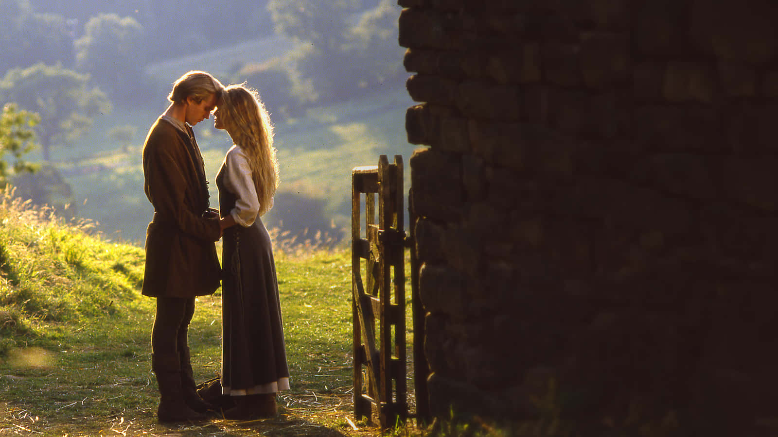 Princess Bride Romantic Scene Wallpaper