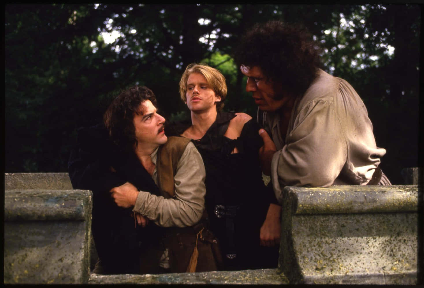 Princess Bride Strategic Huddle Wallpaper