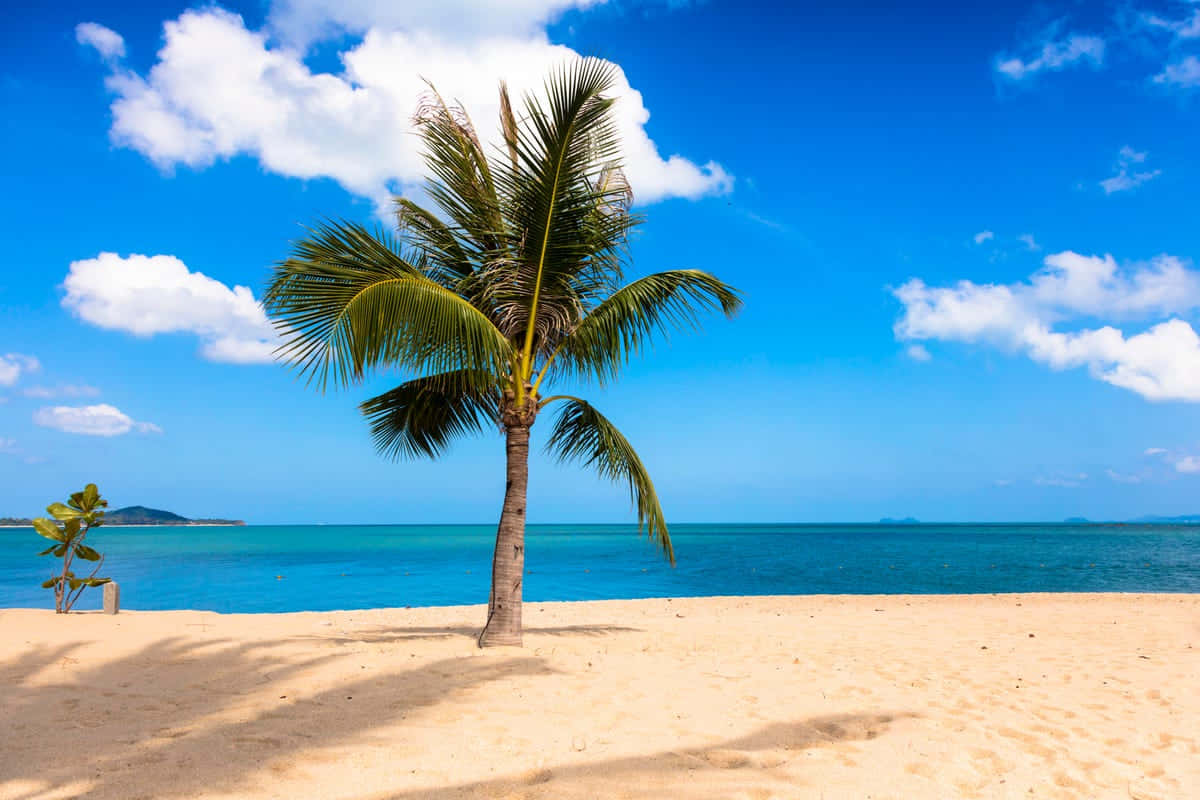 Pristine Caribbean Island Escape Wallpaper