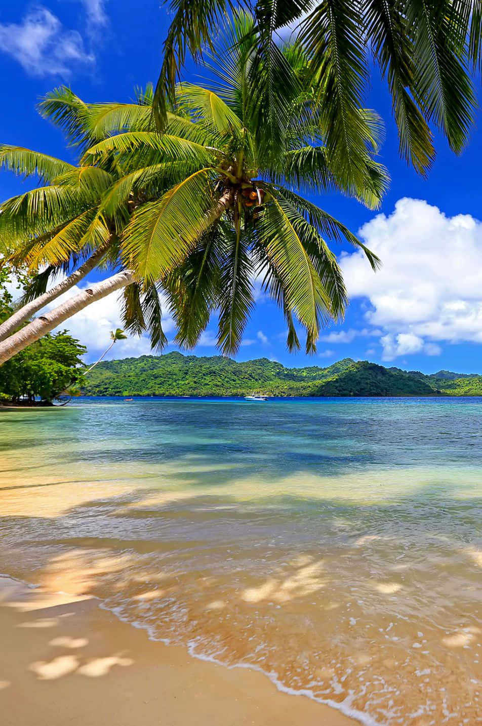 Pristine Fiji Beach At Sunset Wallpaper