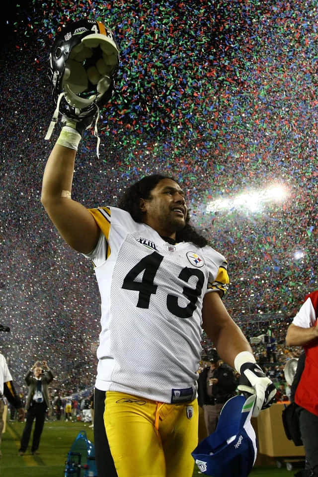 Pro Football Hall Of Fame Safety, Troy Polamalu Wallpaper