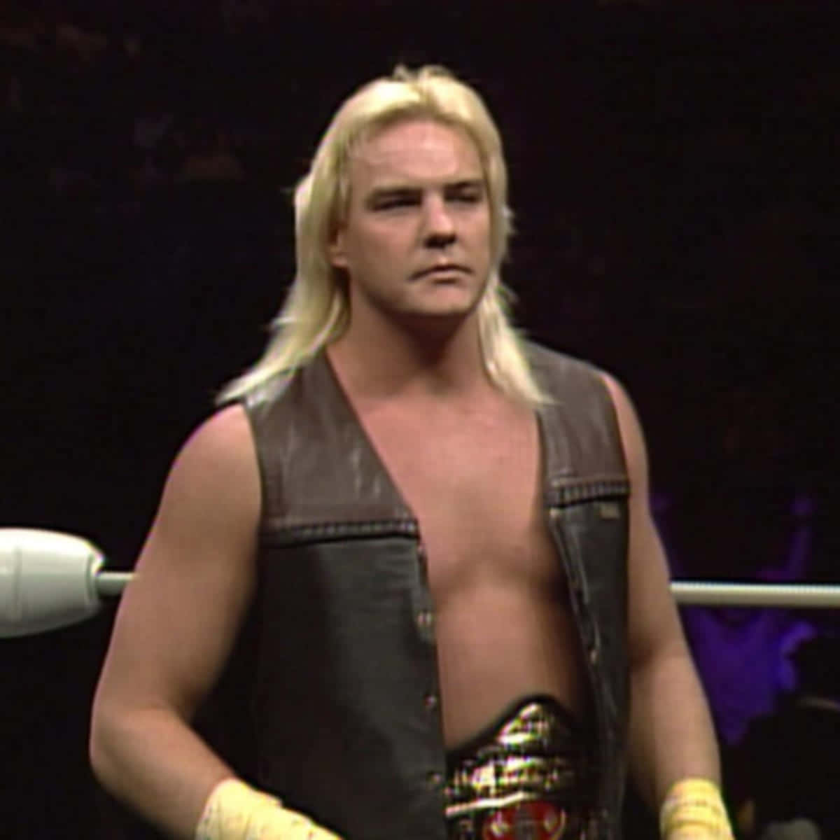 Professional Wrestler Barry Windham Wallpaper