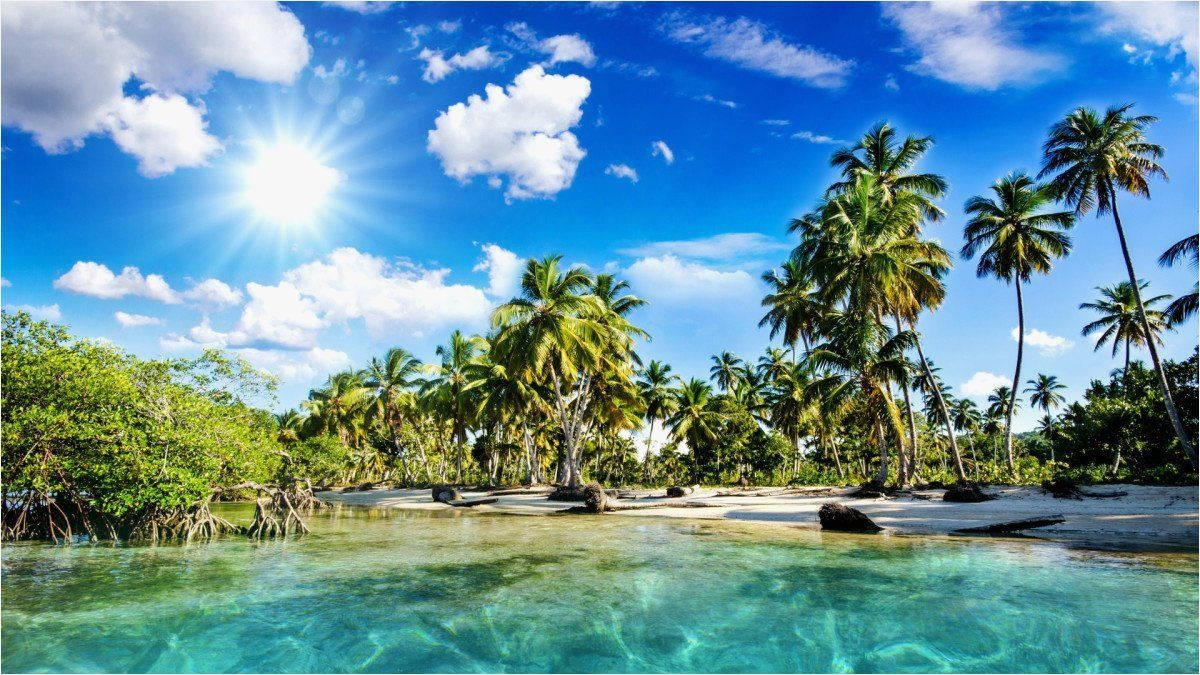 Puerto Rico Tropical Beach Wallpaper