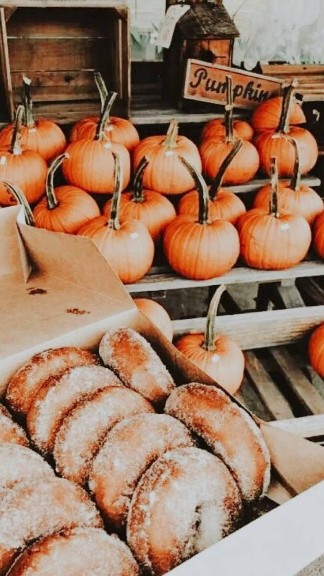 Pumpkins And Donuts Preppy Pfp Wallpaper