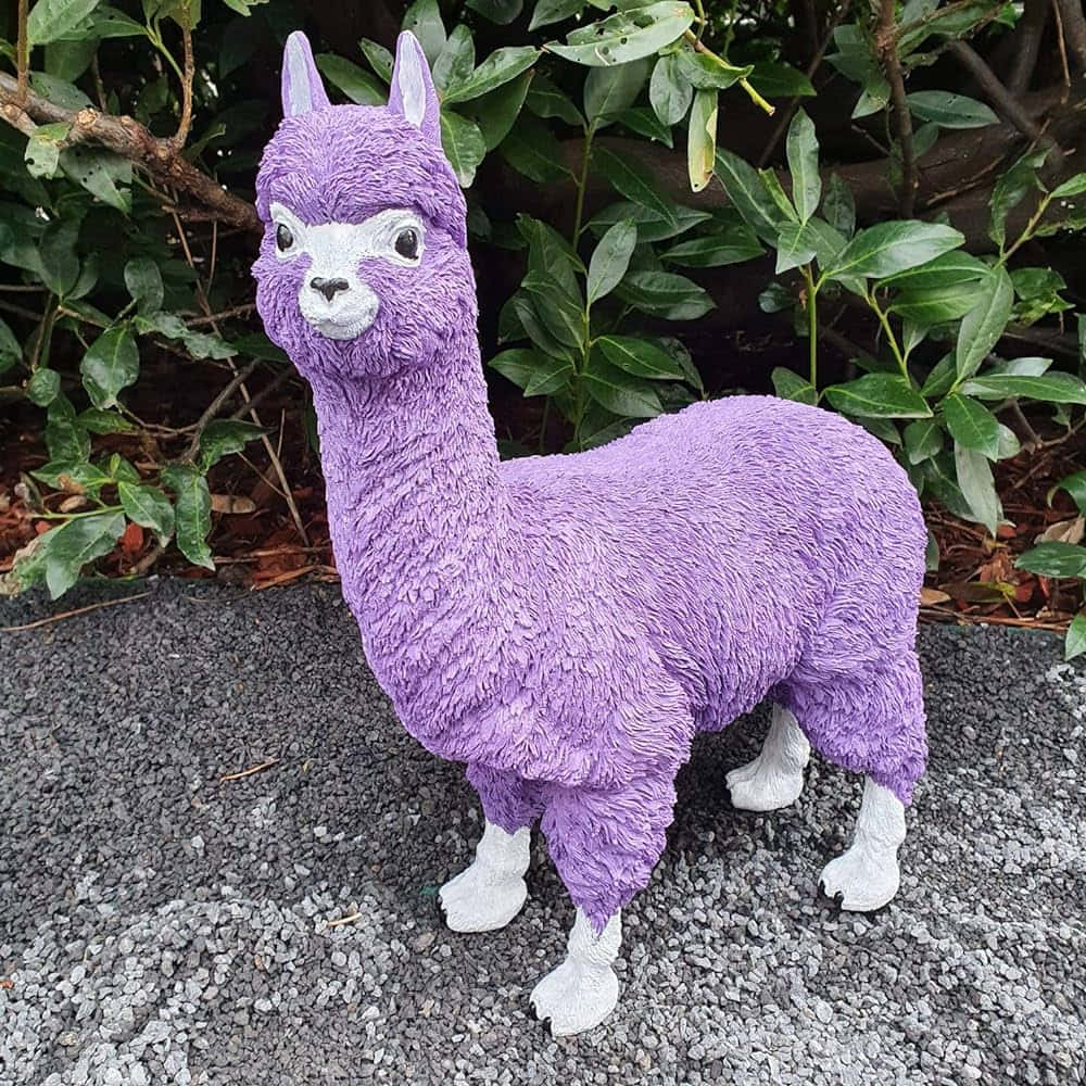 Purple Alpaca Figurine Outdoors Wallpaper