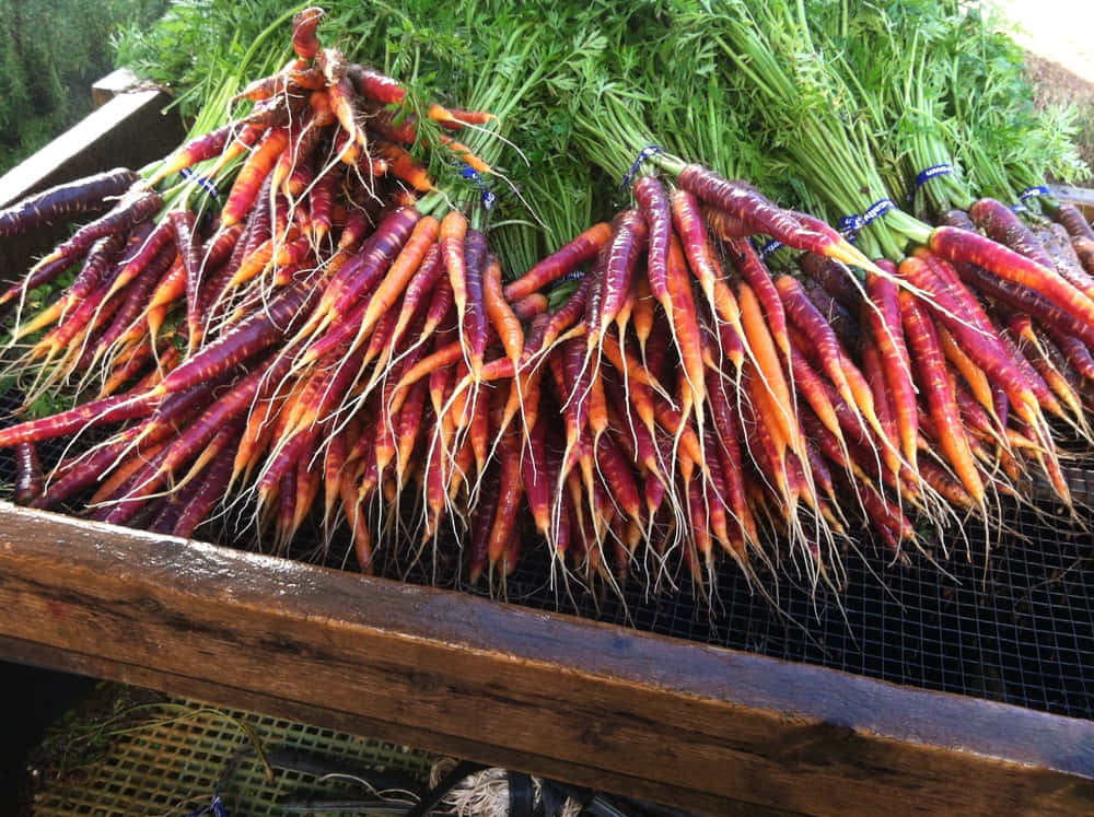 Purple Carrots On A White Background Wallpaper