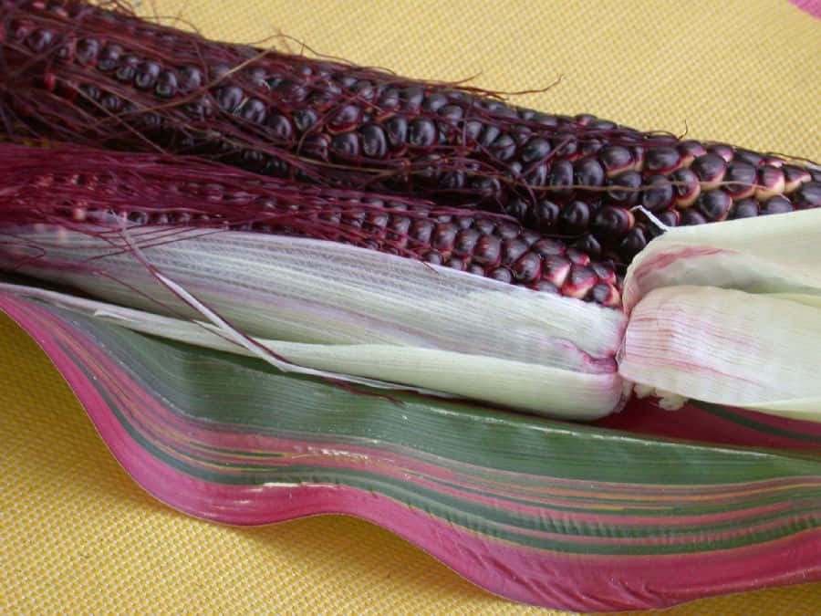 Purple Corn Is Packed With Nutrients Wallpaper