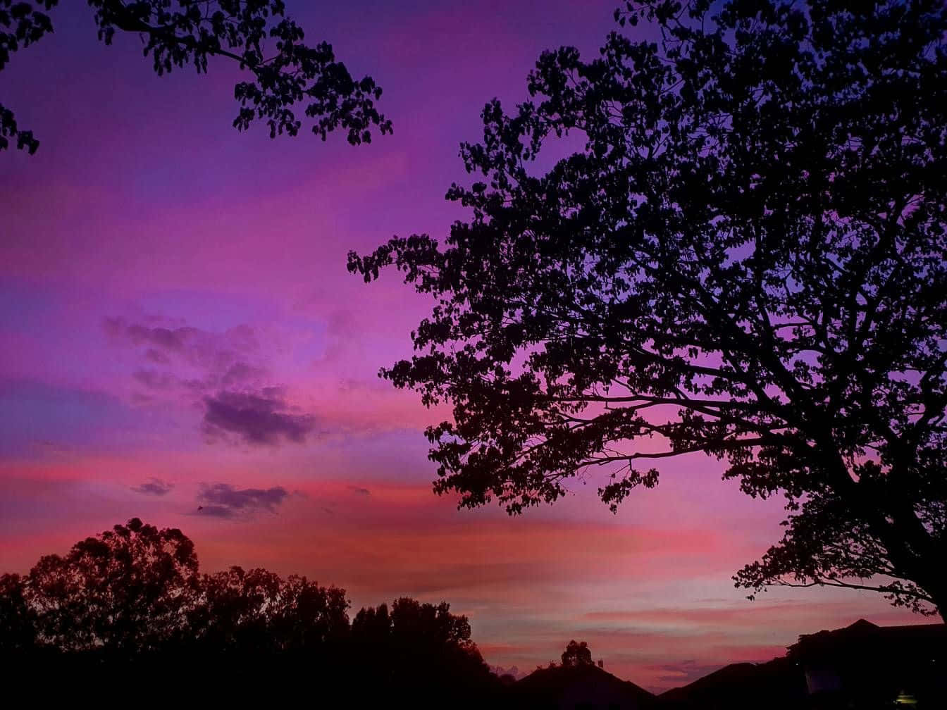 Purple Dusk Trippy Aesthetic Cloud Wallpaper