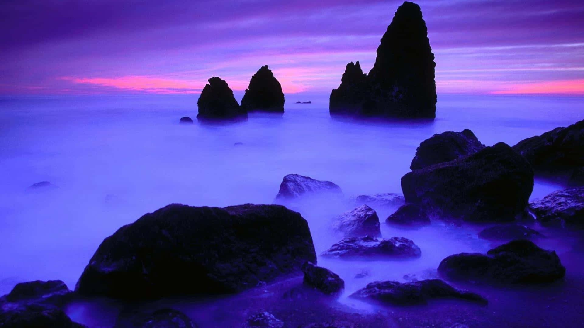 Purple Haze - Softly Dreaming Wallpaper