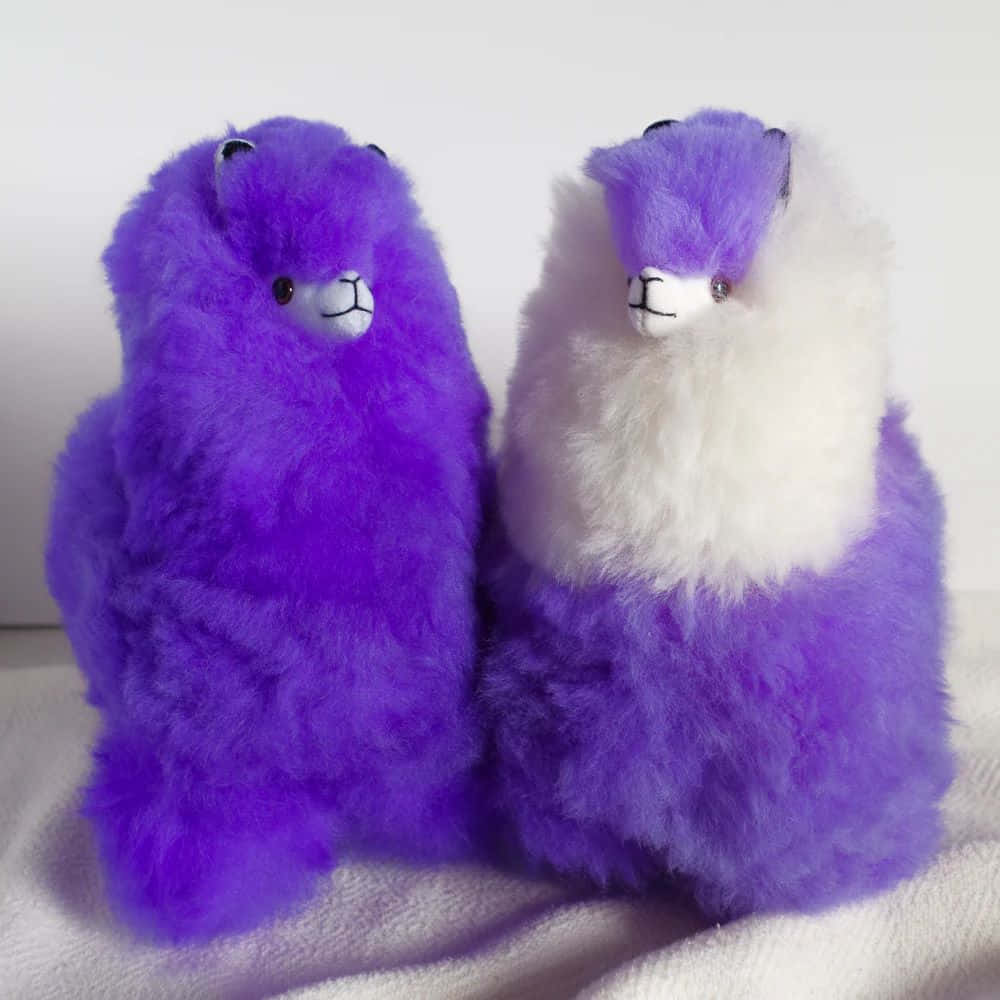 Purpleand White Plush Alpacas Wallpaper