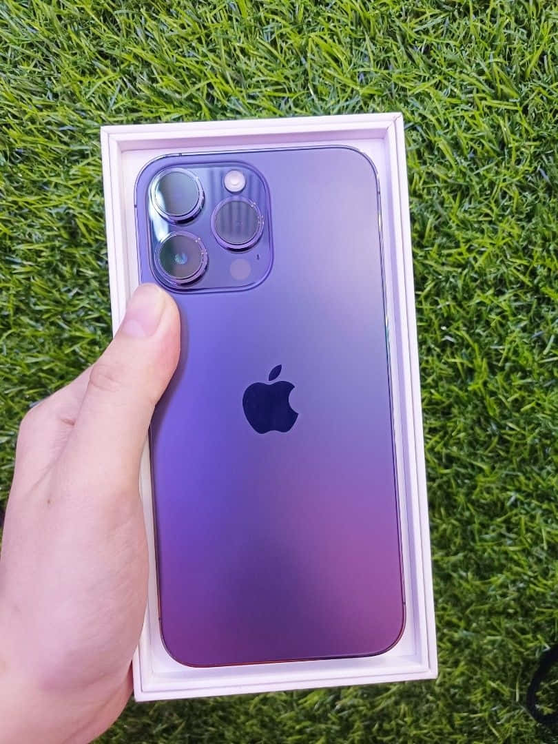 Purplei Phone14 Pro Max Unboxing Wallpaper