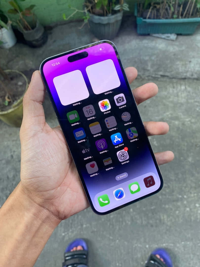 Purplei Phone14 Pro Maxin Hand Wallpaper