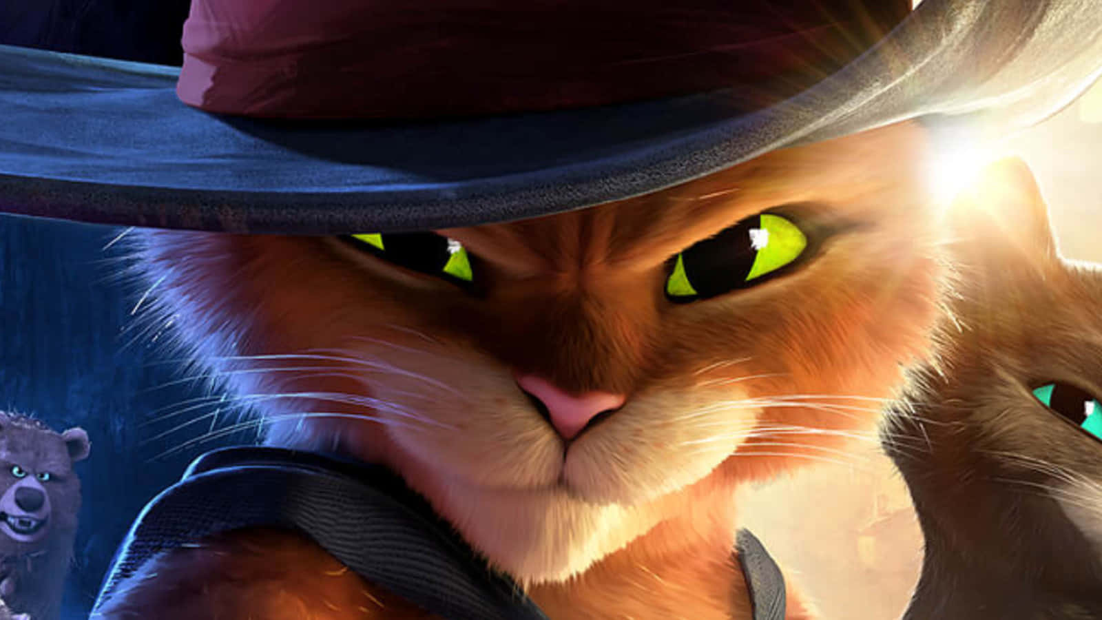 Puss In Boots Intense Gaze Wallpaper