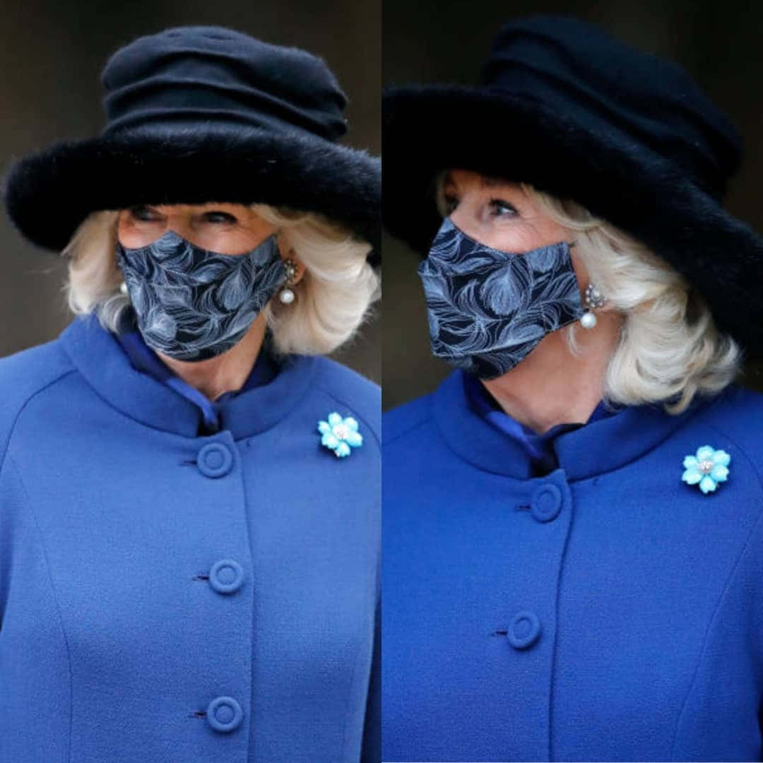 Queen Camilla With Blue Flower Brooch Wallpaper