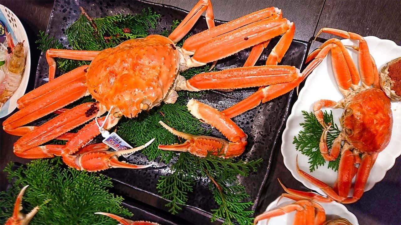 Queen Crab Seafood Delicacy Wallpaper