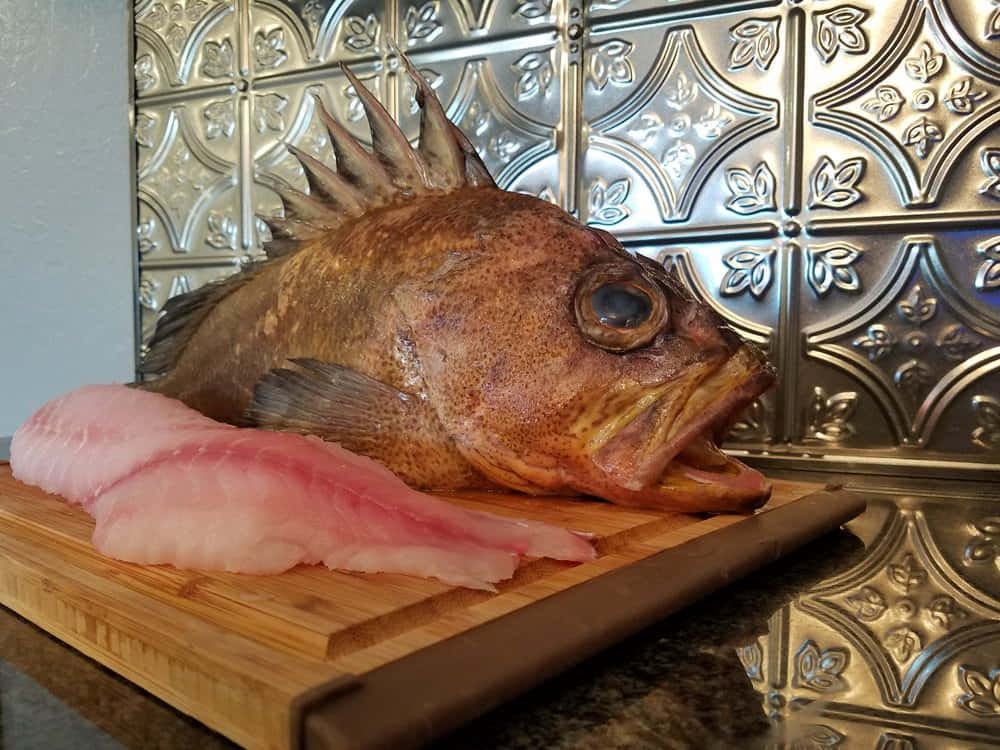 Quillback Rockfish With Fillets Wallpaper