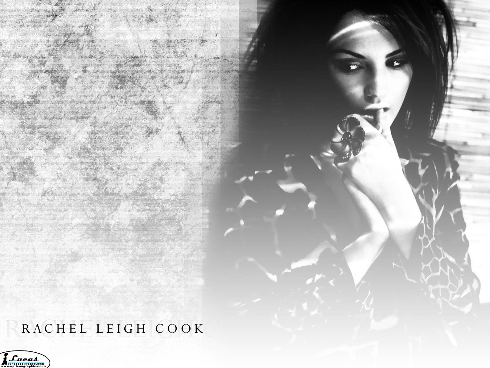 Rachael Leigh Cook Grey Scale Wallpaper